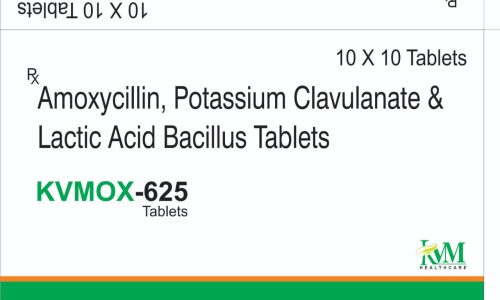 WhatsApp Image 2025-08-28 at 10.20.25 AM (2)